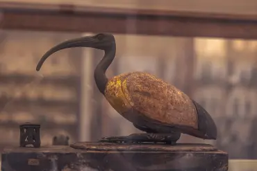 Jednodniowa wycieczka do Kairu z Marsa Alam – piramidy i muzeum samolotem – zdjęcie 4
