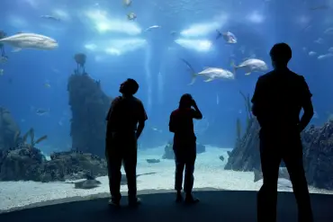 Sahl Hasheesh: Grand Aquarium & Zoo Tickets with Transfers - Image 2