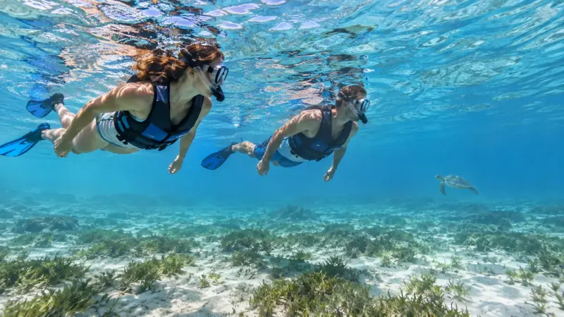Marsa Alam - Excursion de Snorkeling avec les Tortues de Mer - Experience (5 of 15)