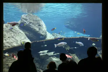 Sahl Hasheesh: Grand Aquarium & Zoo Tickets with Transfers - Image 3