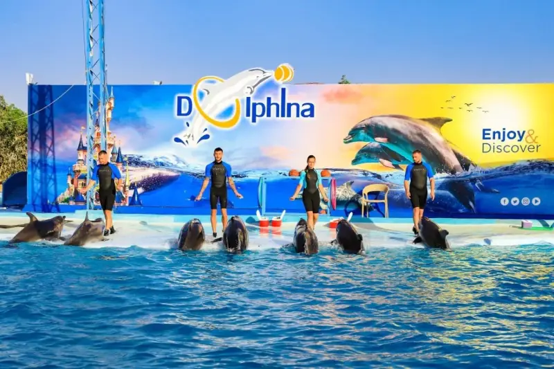 Ελ Γκούνα: Παράσταση Dolphina Park + Προαιρετικό Κολύμπι με Δελφίνια - View (7 of 13)
