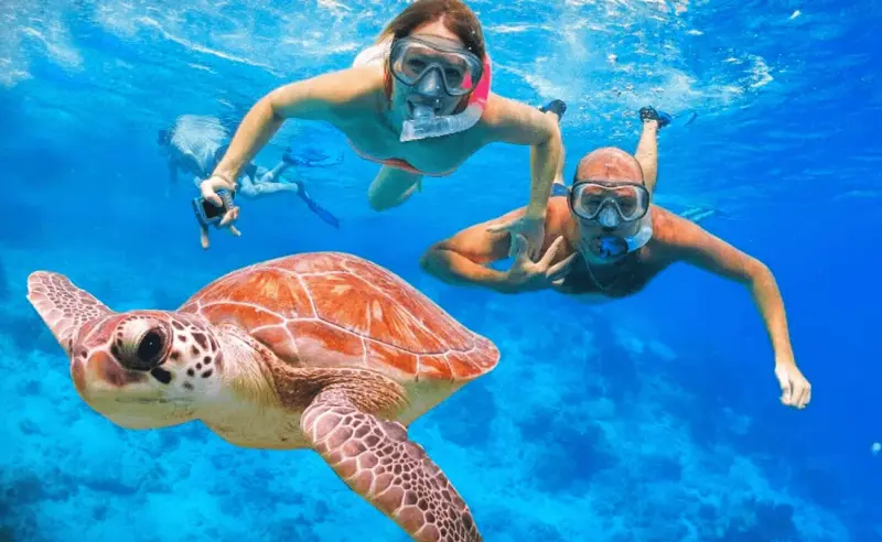 Excursión en barco de día completo a Paradise Island desde Hurghada con snorkel y almuerzo en la isla - View (8 of 38)