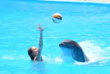 Ελ Γκούνα: Παράσταση Dolphina Park + Προαιρετικό Κολύμπι με Δελφίνια - Scenery (2 of 13)