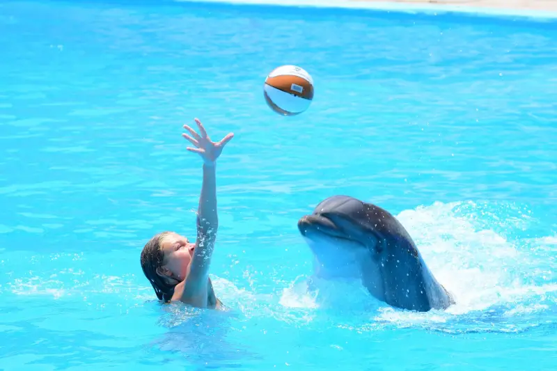 Ελ Γκούνα: Παράσταση Dolphina Park + Προαιρετικό Κολύμπι με Δελφίνια - Scenery (2 of 13)