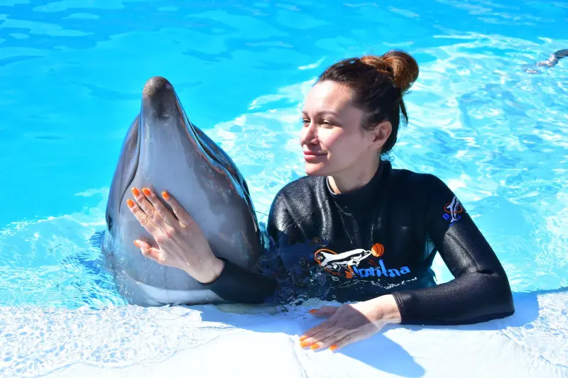 Ελ Γκούνα: Παράσταση Dolphina Park + Προαιρετικό Κολύμπι με Δελφίνια - View (11 of 13)