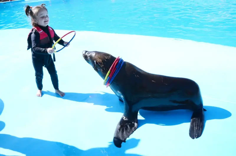 Ελ Γκούνα: Παράσταση Dolphina Park + Προαιρετικό Κολύμπι με Δελφίνια - View (8 of 13)
