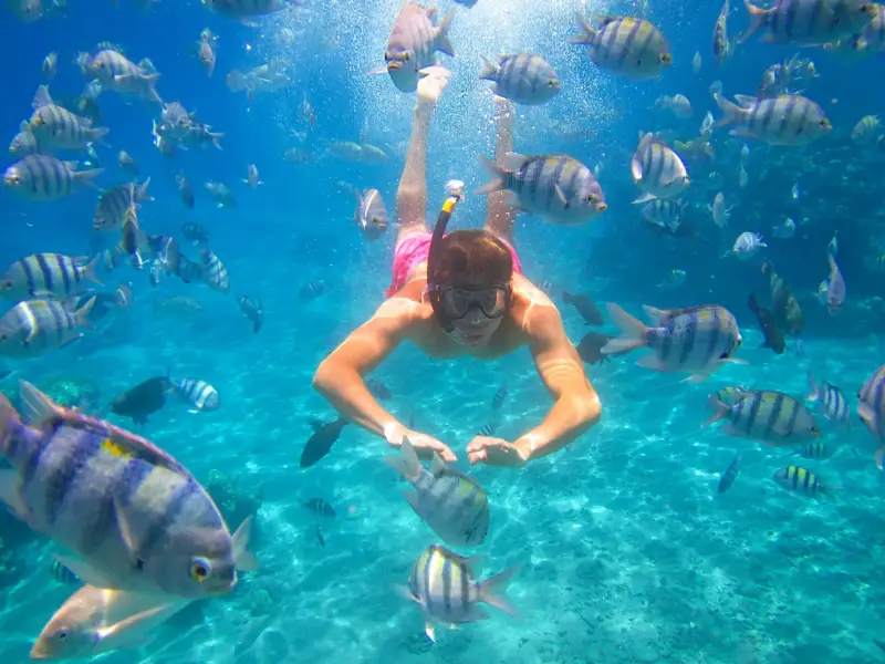 Hurghada: Magawish Island & Parasailing Tour with Buffet Lunch - Photo 23 - Image 27