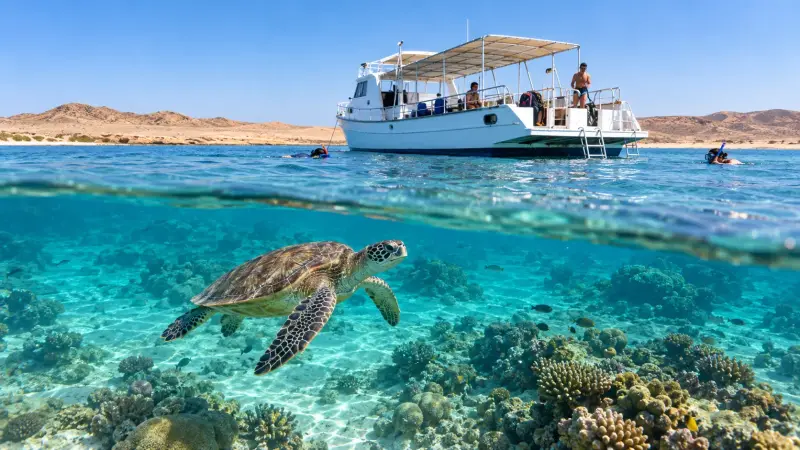 Marsa Alam - Excursion de Snorkeling avec les Tortues de Mer - Details (4 of 15)