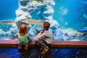 Sahl Hasheesh: Grand Aquarium & Zoo Tickets with Transfers - Image 4
