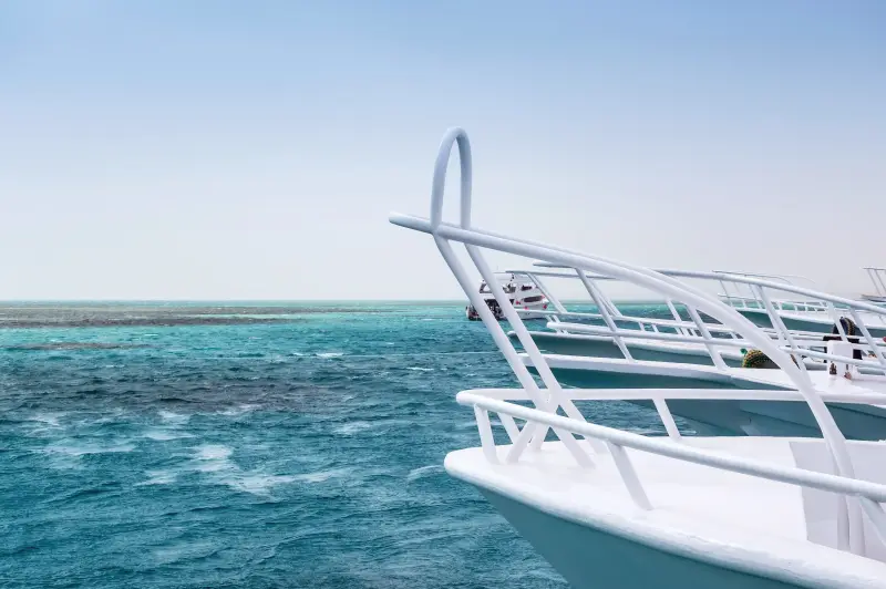 Sahl Hasheesh: Wycieczka łodzią do Dolphin House z prywatnym transferem – zdjęcie 10