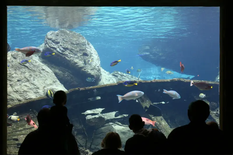Hurghada: Grand Aquarium & Zoo Tickets with Hotel Transfers - Photo 19 - Image 23