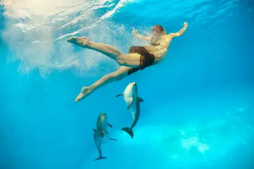 Sahl Hasheesh: Wycieczka łodzią do Dolphin House z prywatnym transferem – zdjęcie 2