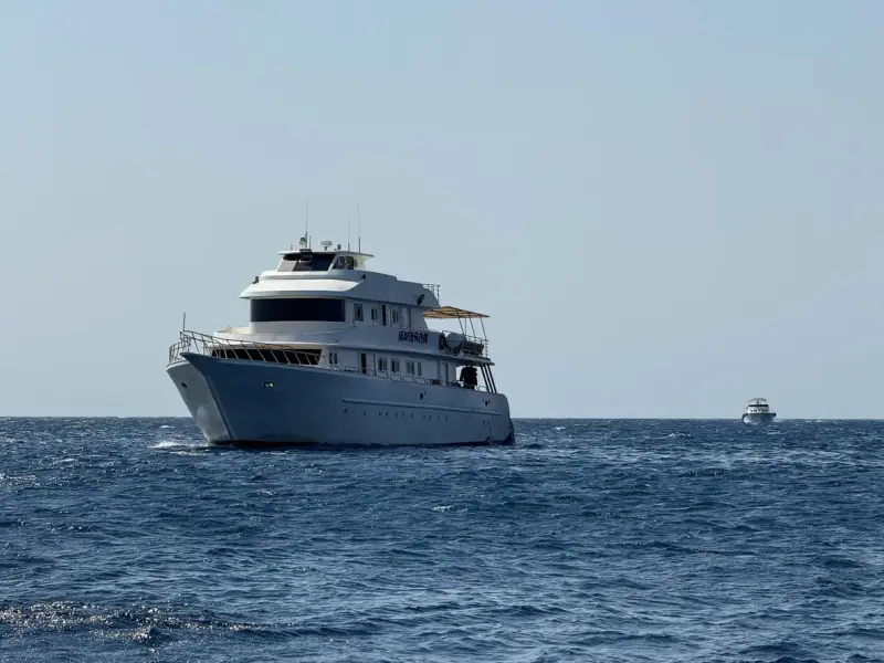 Sharm El Sheikh: Ras Mohammed & White Island Trip with Lunch - Photo 18
