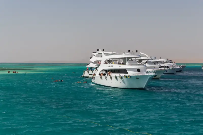 Sharm El Sheikh: Ras Mohammed & White Island Trip with Lunch - Photo 19