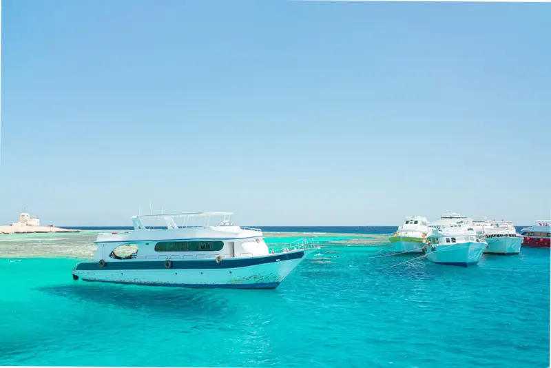 Sharm El Sheikh: Ras Mohammed & White Island Trip with Lunch - Photo 21