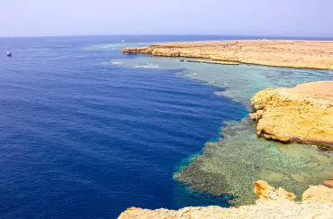 Sharm: Snorkeling from the Shore, Mangroove Trees & Salt Lake - Photo 2