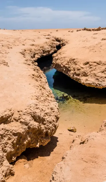 Sharm: Snorkeling from the Shore, Mangroove Trees & Salt Lake - Photo 20