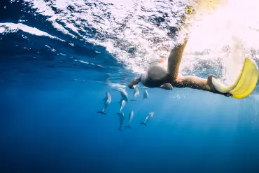 From El Gouna: Private Orange Bay Speedboat with Snorkeling & Parasailing - Photo 5