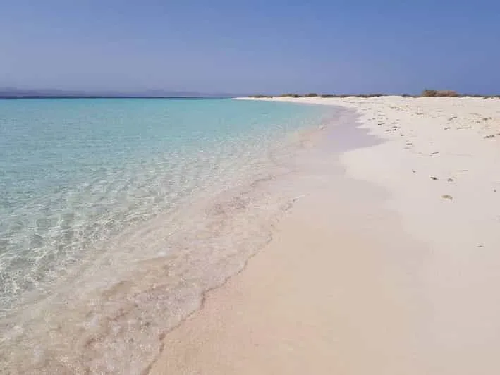 Marsa Alam: Hamata Islands Snorkeling Trip with Lunch - Image 2