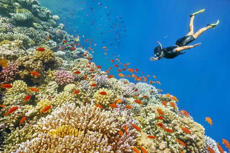 Marsa Alam: Hamata Islands Snorkeling Trip with Lunch - Image 11