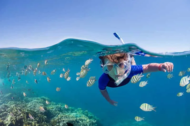 Marsa Alam: Hamata Islands Snorkeling Trip with Lunch - Image 17