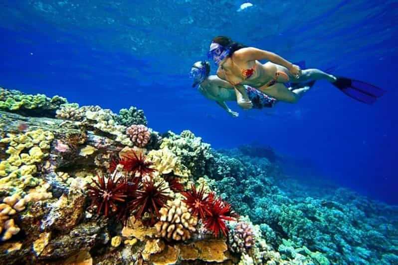 Marsa Alam: Hamata Islands Snorkeling Trip with Lunch - Image 18