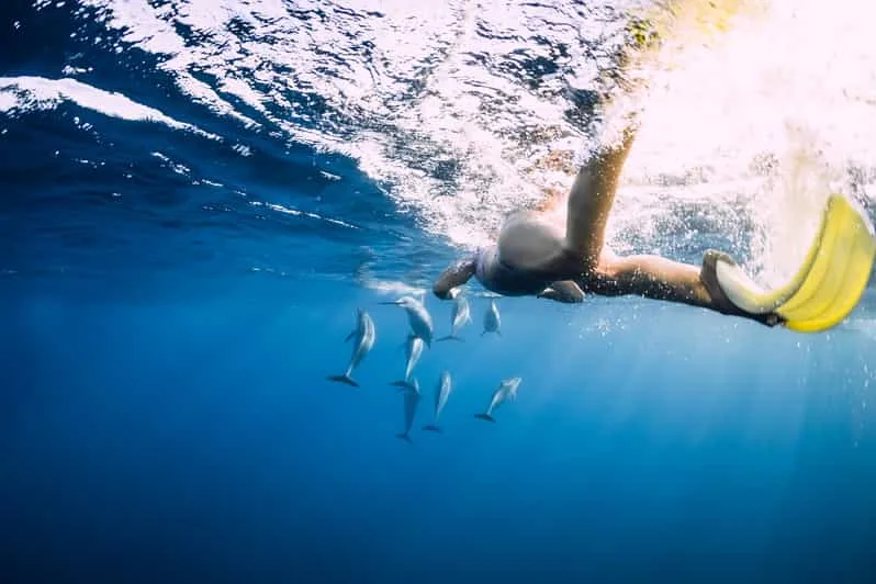 Marsa Alam: Sataya Reef Dolphin House Snorkeling Boat Trip with Lunch