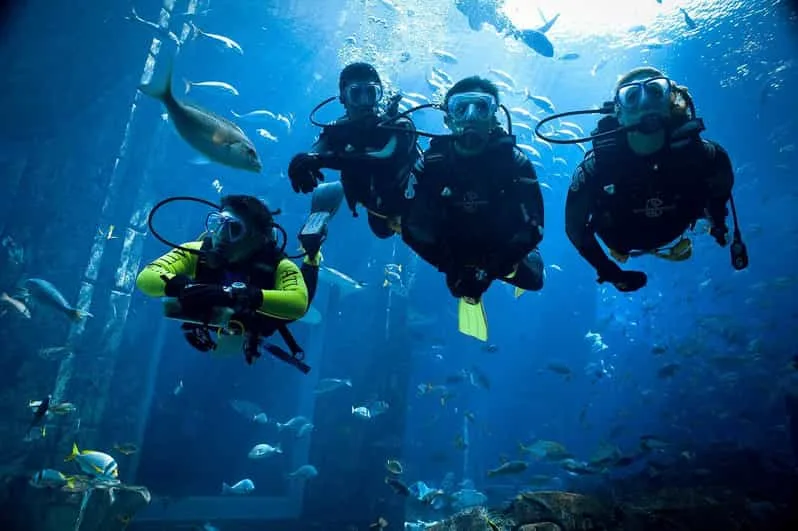 Sahl Hasheesh: Diving or Snorkeling Boat Trip with Lunch - Image 10