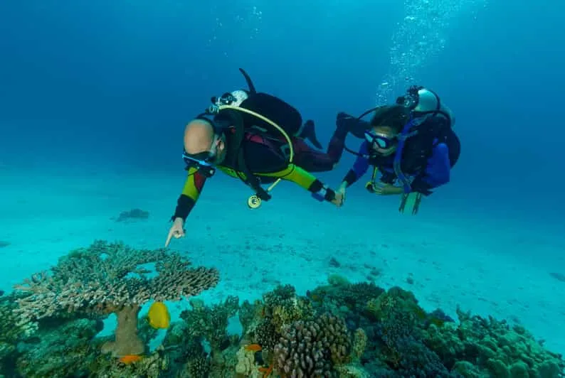 Sahl Hasheesh: Diving or Snorkeling Boat Trip with Lunch - Image 11