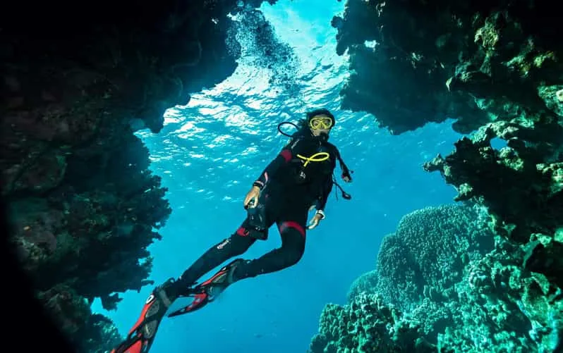 Sahl Hasheesh: Diving or Snorkeling Boat Trip with Lunch - Image 17