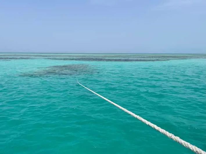 Sahl Hasheesh: Diving or Snorkeling Boat Trip with Lunch - Image 18