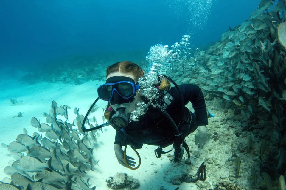 Port Ghalib: Scuba Diving for Beginners Day-Trip with Lunch - Image 6