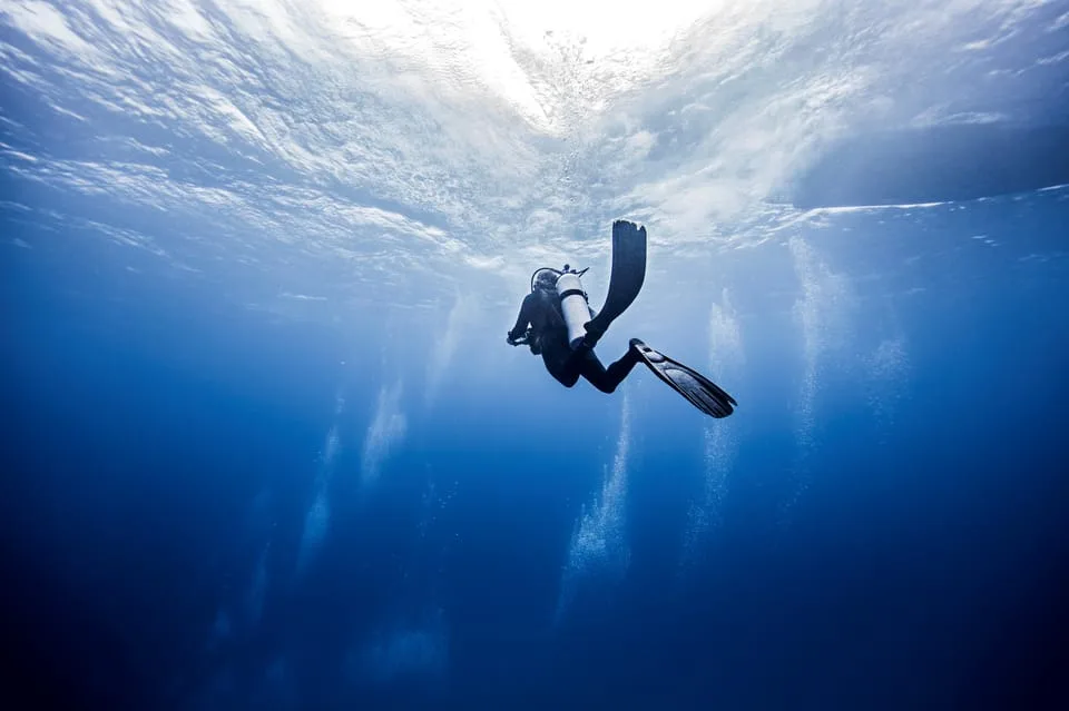 Port Ghalib: Scuba Diving for Beginners Day-Trip with Lunch - Image 8