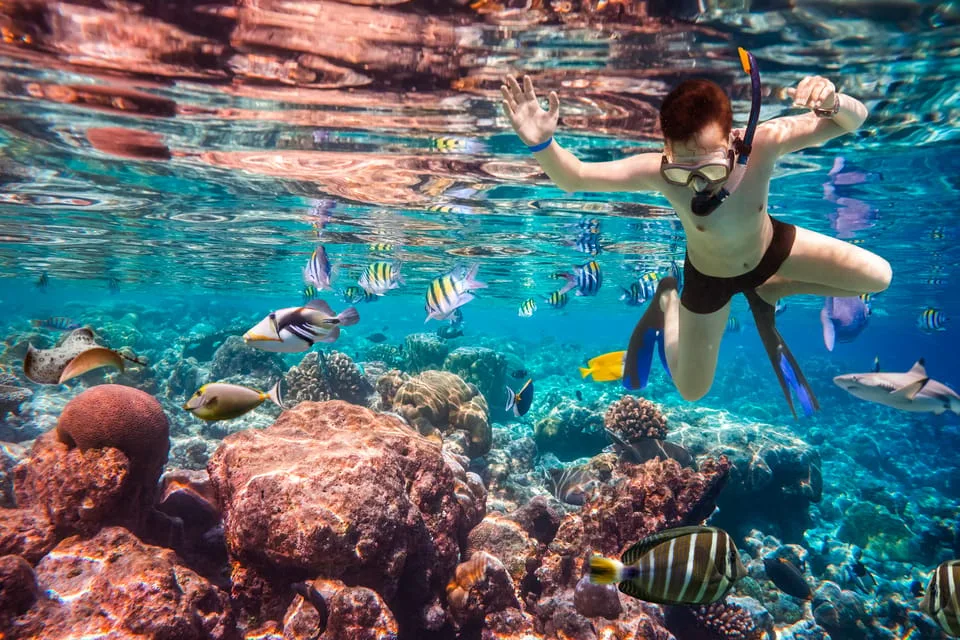 Sahl Hasheesh: Snorkeling Cruise Tour with Lunch and Drinks - Image 18