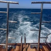 Sahl Hasheesh: Dolphin Watching Boat Tour with Snorkeling - Image 1
