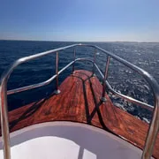 Sahl Hasheesh: Dolphin Watching Boat Tour with Snorkeling - Image 2