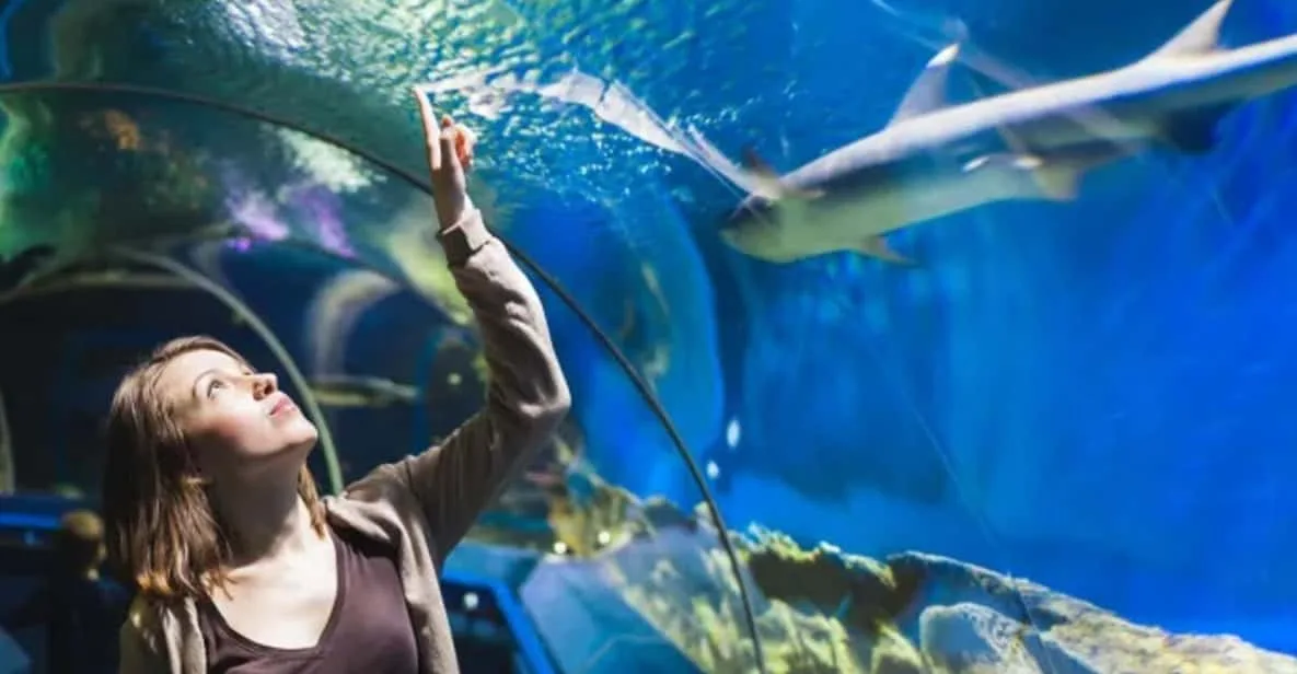 Sahl Hasheesh: Grand Aquarium & Zoo Tickets with Transfers - Image 5