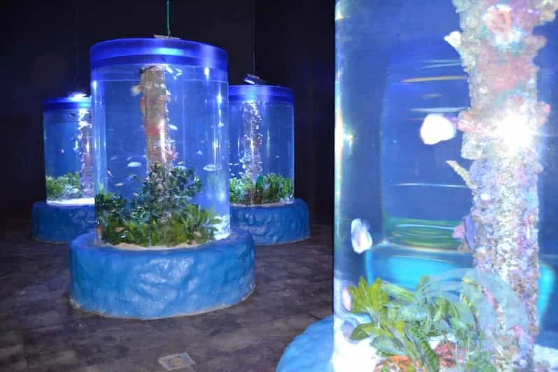 Sahl Hasheesh: Grand Aquarium & Zoo Tickets with Transfers - Image 6