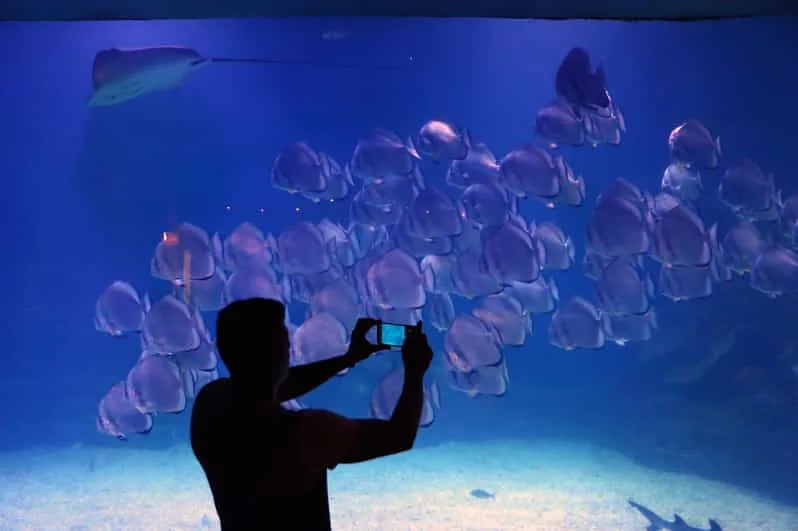 Sahl Hasheesh: Grand Aquarium & Zoo Tickets with Transfers - Image 1