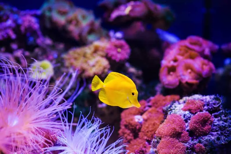Sahl Hasheesh: Grand Aquarium & Zoo Tickets with Transfers - Image 17