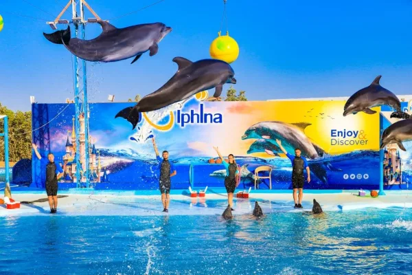 Hurghada: Show v Dolphina Park + volitelné plavání s delfíny