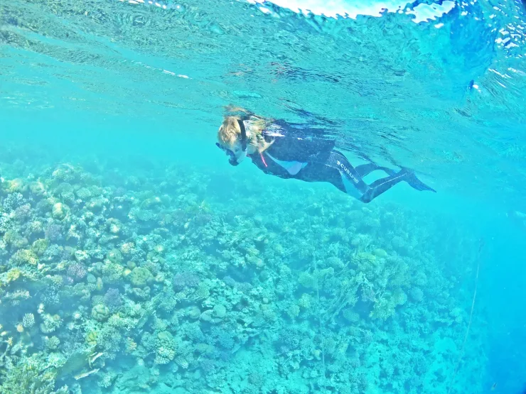 Sahl Hasheesh: Rejs jachtem do Orange Bay z prywatnym transferem – zdjęcie 24