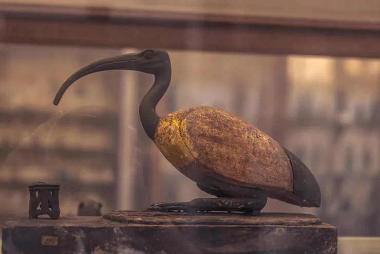 Jednodniowa wycieczka do Kairu z Marsa Alam – piramidy i muzeum samolotem – zdjęcie 4