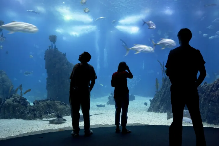 Sahl Hasheesh: Grand Aquarium & Zoo Tickets with Transfers - Image 2