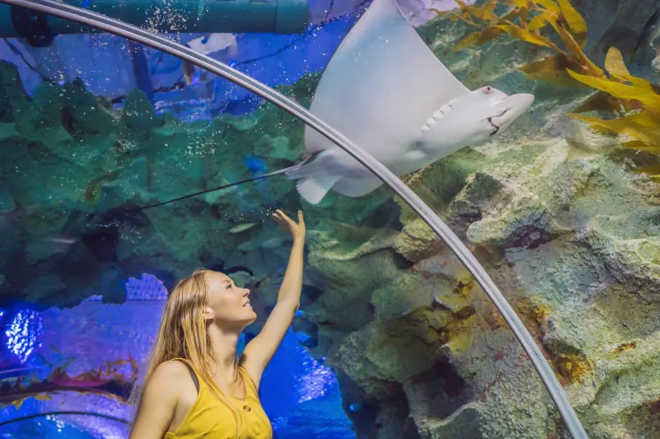 Sahl Hasheesh: Grand Aquarium & Zoo Tickets with Transfers - Image 9