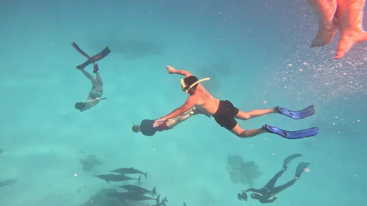 Port Ghalib: Rejs snorkelingowy z delfinami na rafach Sataya z lunchem - Main view (1 of 32)