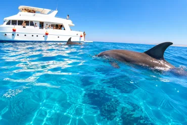 Hurghada: Dolphin Watching Boat Tour with Snorkeling & Lunch - Activity (3 of 37)
