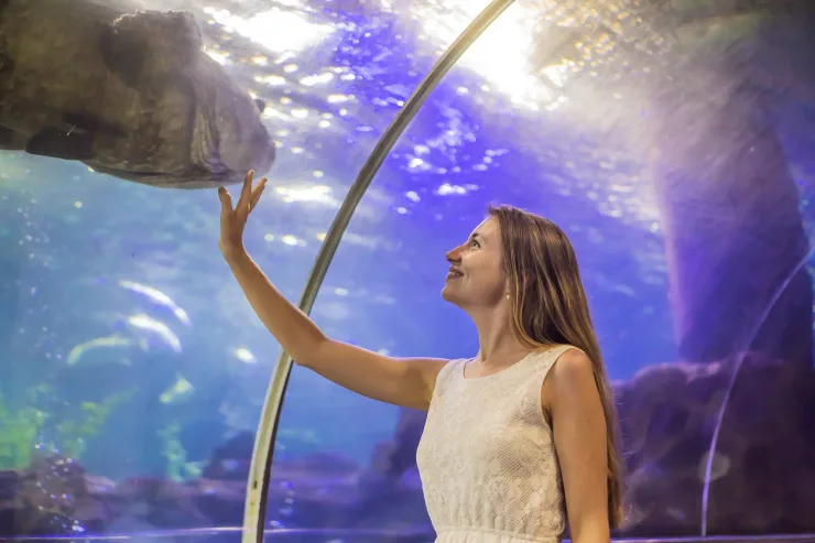 Sahl Hasheesh: Grand Aquarium & Zoo Tickets with Transfers - Image 1