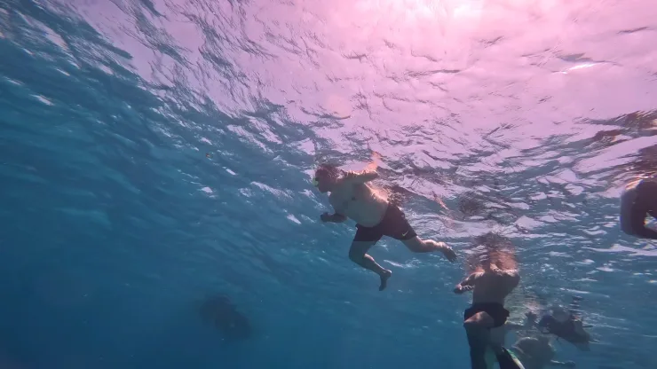 Port Ghalib: Rejs snorkelingowy z delfinami na rafach Sataya z lunchem - View (23 of 32)