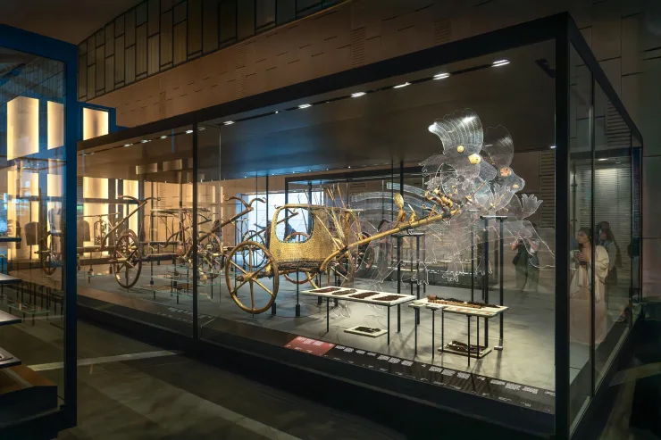 Tutankhamun's gilded chariots in a glass case at the Grand Egyptian Museum